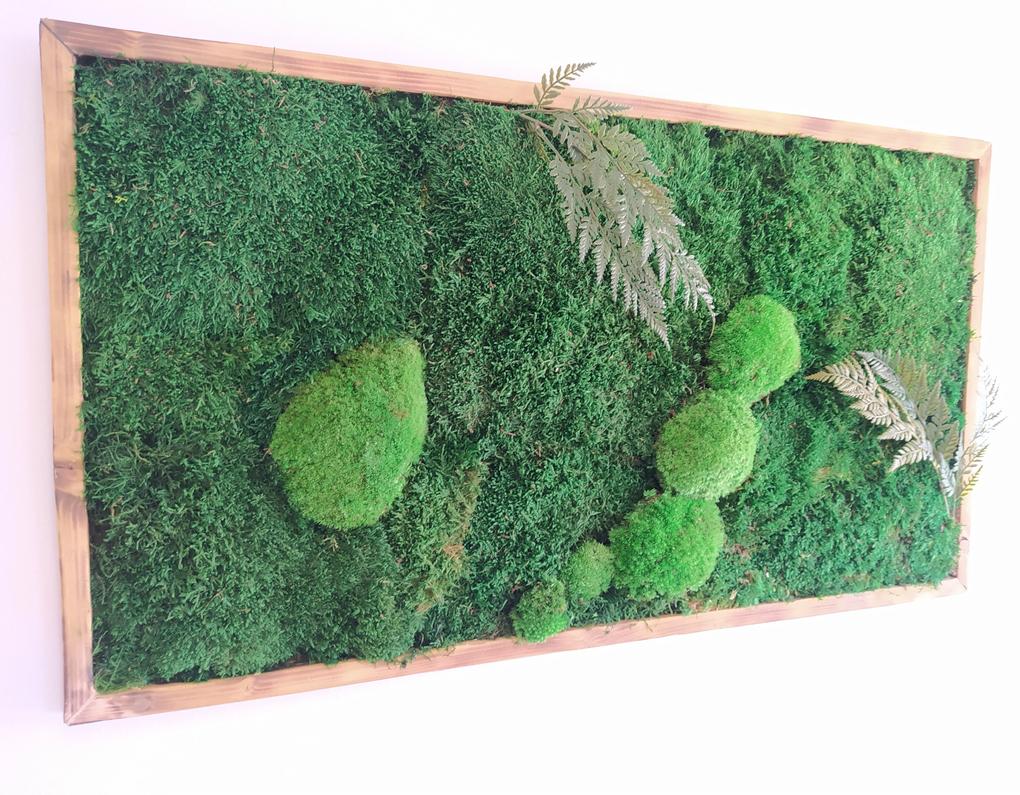 Machový obraz- lesný mach s papradím 40cm x 80cm