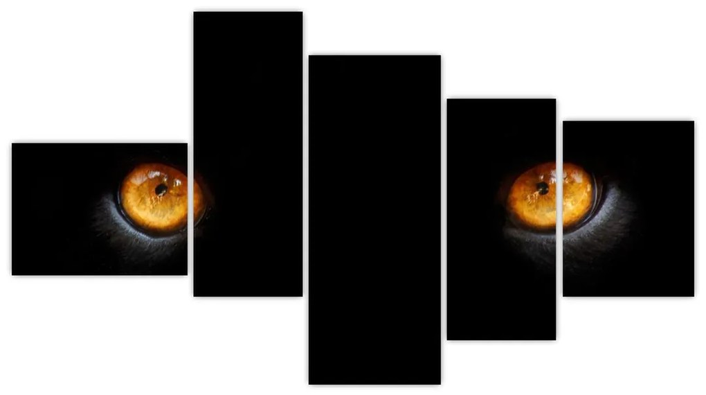 Zvieracie oči - obraz