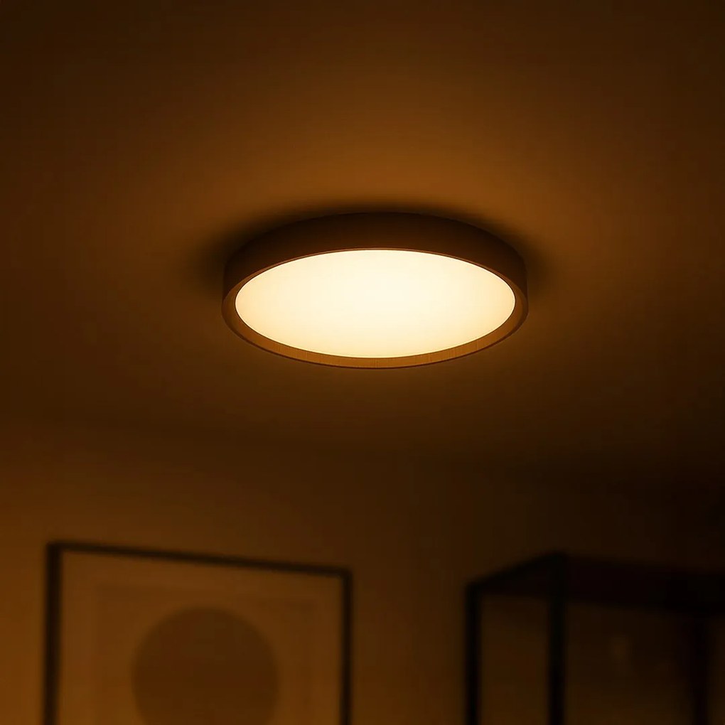 Stropné LED svietidlo Forest, 1x LED 24w, 4000k, (fi 39cm), imitácia dreva