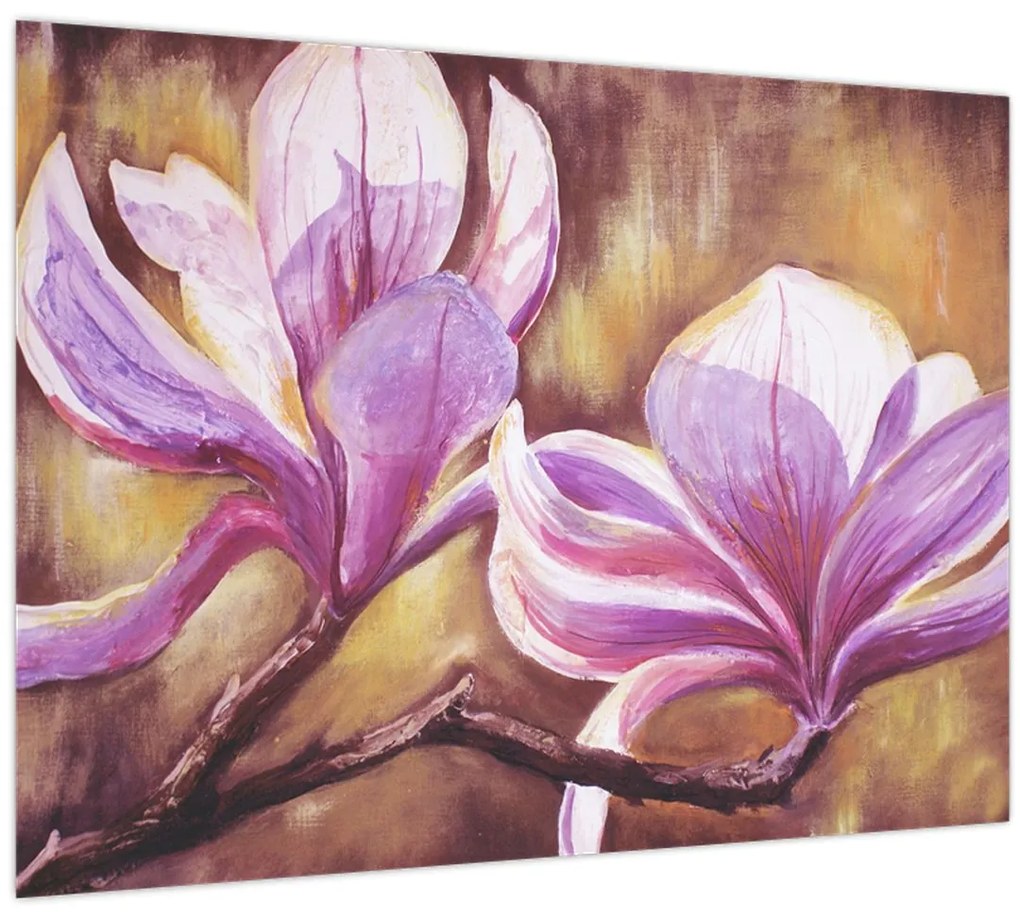 Obraz - Kvety magnólie (70x50 cm)