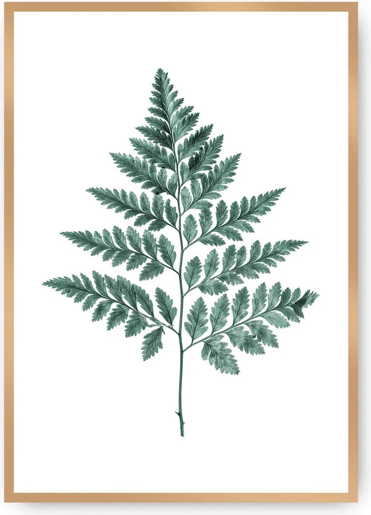 Plagát Fern 21 x 30 cm Emerald Green