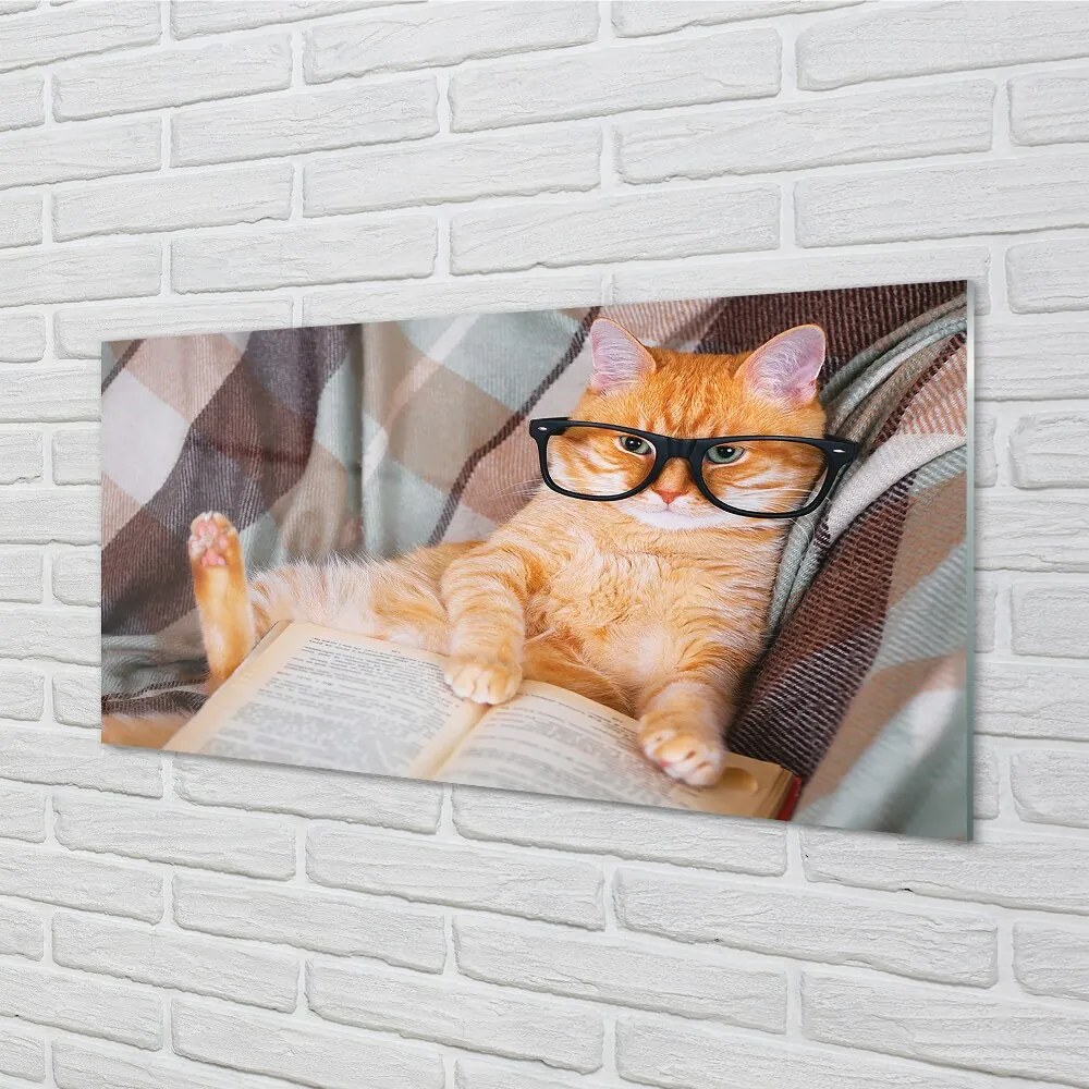 Sklenený obraz čitateľ cat 120x60 cm