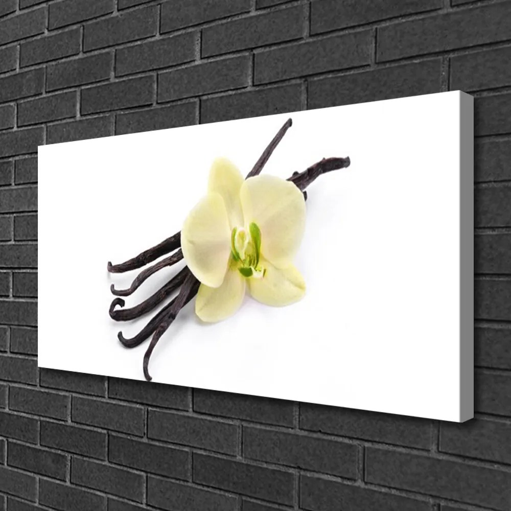 Obraz Canvas Kvet rastlina príroda 125x50 cm