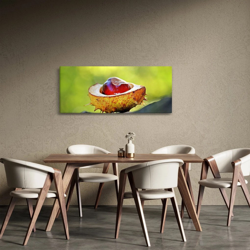 Obraz gaštanov (120x50 cm)