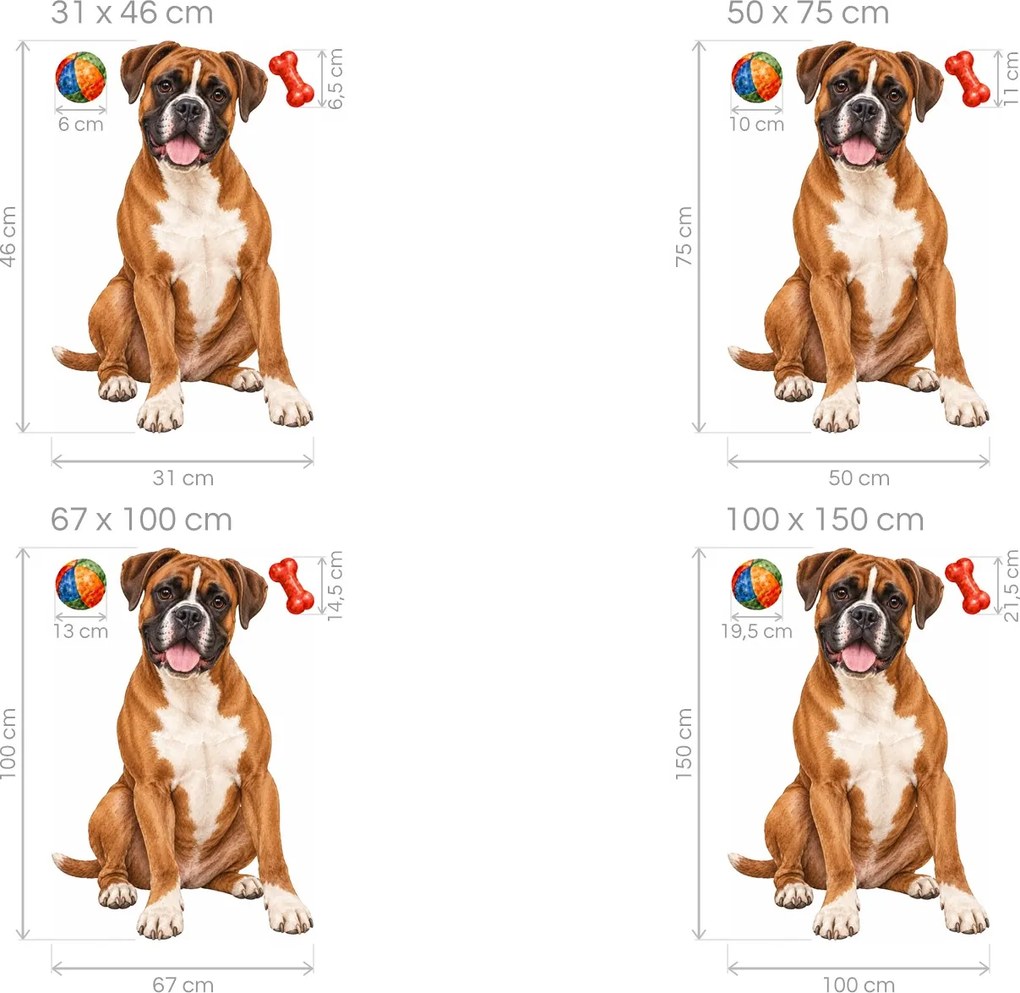 Boxer s loptičkou a kosťou akvarelové textilné nálepky na stenu pre milovníkov boxerov arch 31 x 46 cm