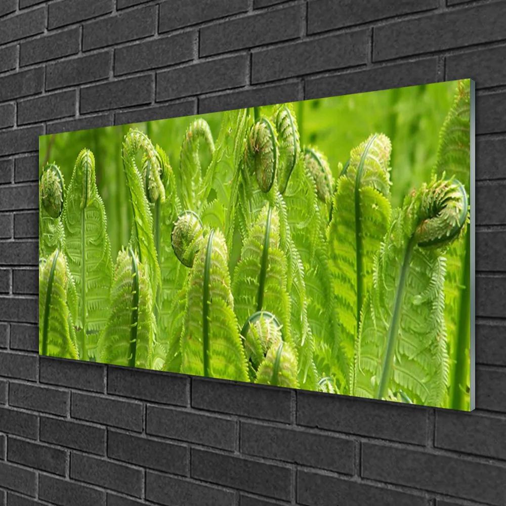 Skleneny obraz Rastlina príroda 125x50 cm