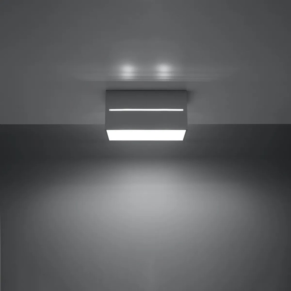 Sollux Lighting Stropné svietidlo LOBO 2 sivé