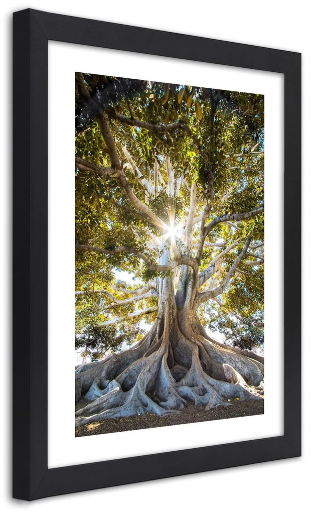 Gario Plagát Veľký exotický strom Farba rámu: Bez rámu, Rozmery: 40 x 60 cm