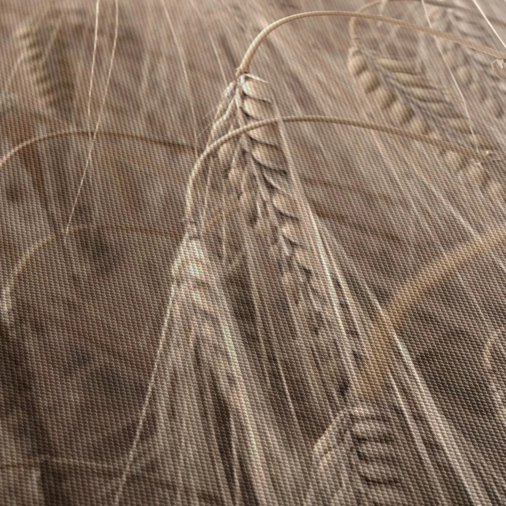 Obraz - Zlaté pole (120x50 cm)