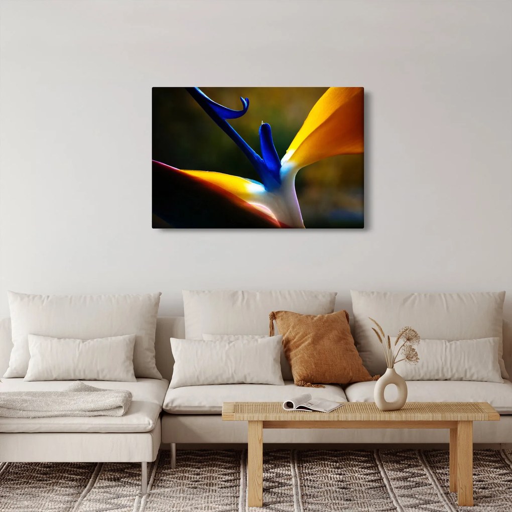 Obraz - Exotický kvet (90x60 cm)