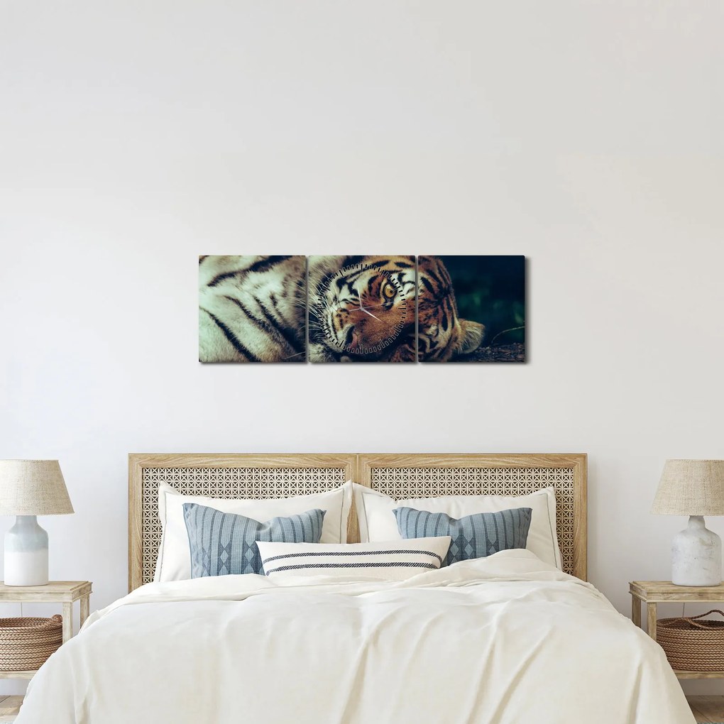 Obraz - Tiger Sibírsky (s hodinami) (90x30 cm)