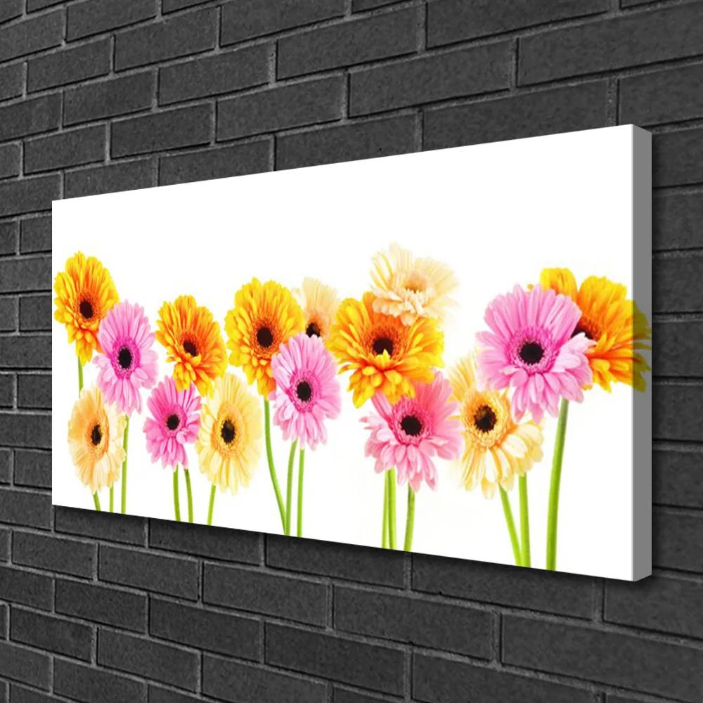 Obraz Canvas Farebné kvety gerbery 140x70 cm