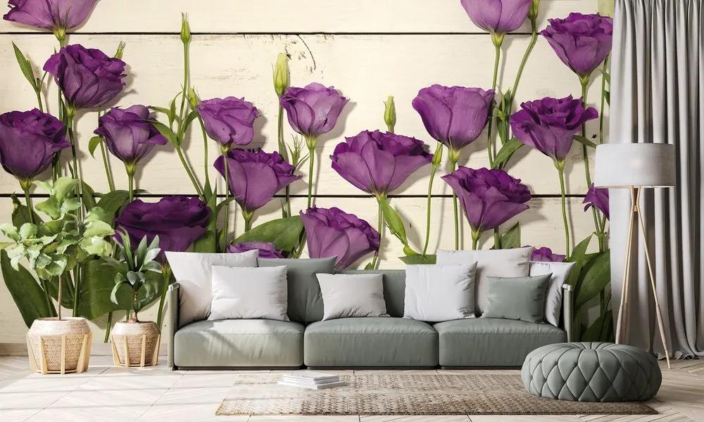 Fototapeta fialové kvety na drevenom pozadí