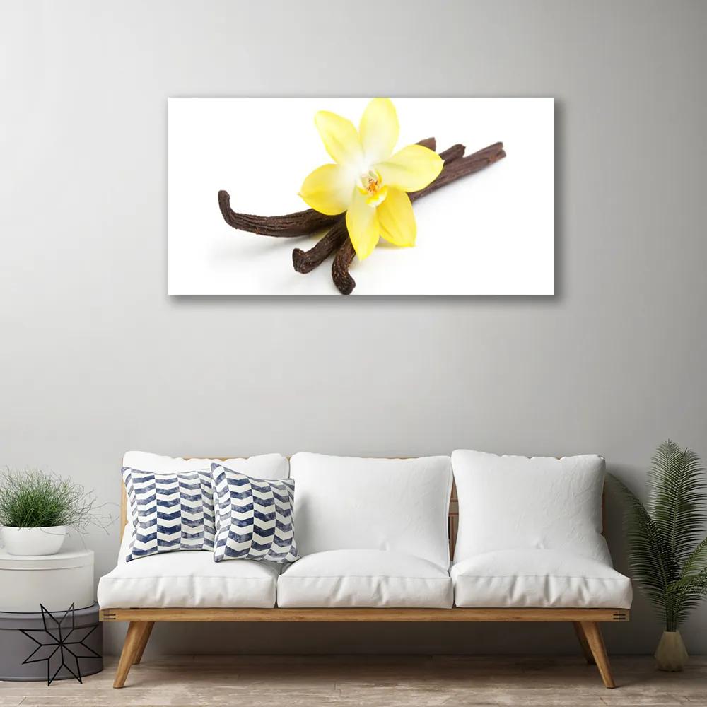 Obraz Canvas Vanilka rastlina príroda 140x70 cm