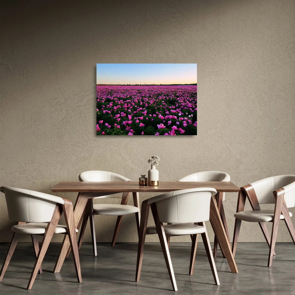 Sklenený obraz - Lúka fialových tulipánov (70x50 cm)