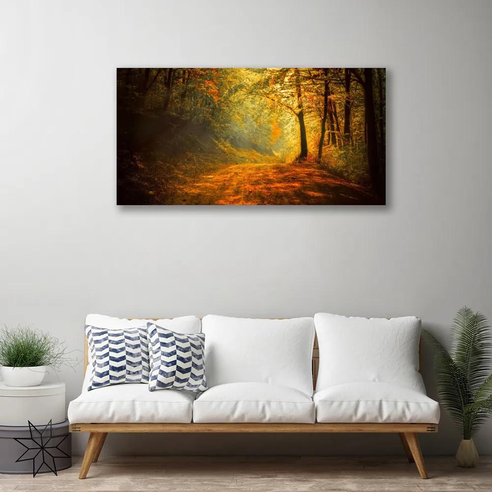 Obraz Canvas Les cestička stromy príroda 125x50 cm