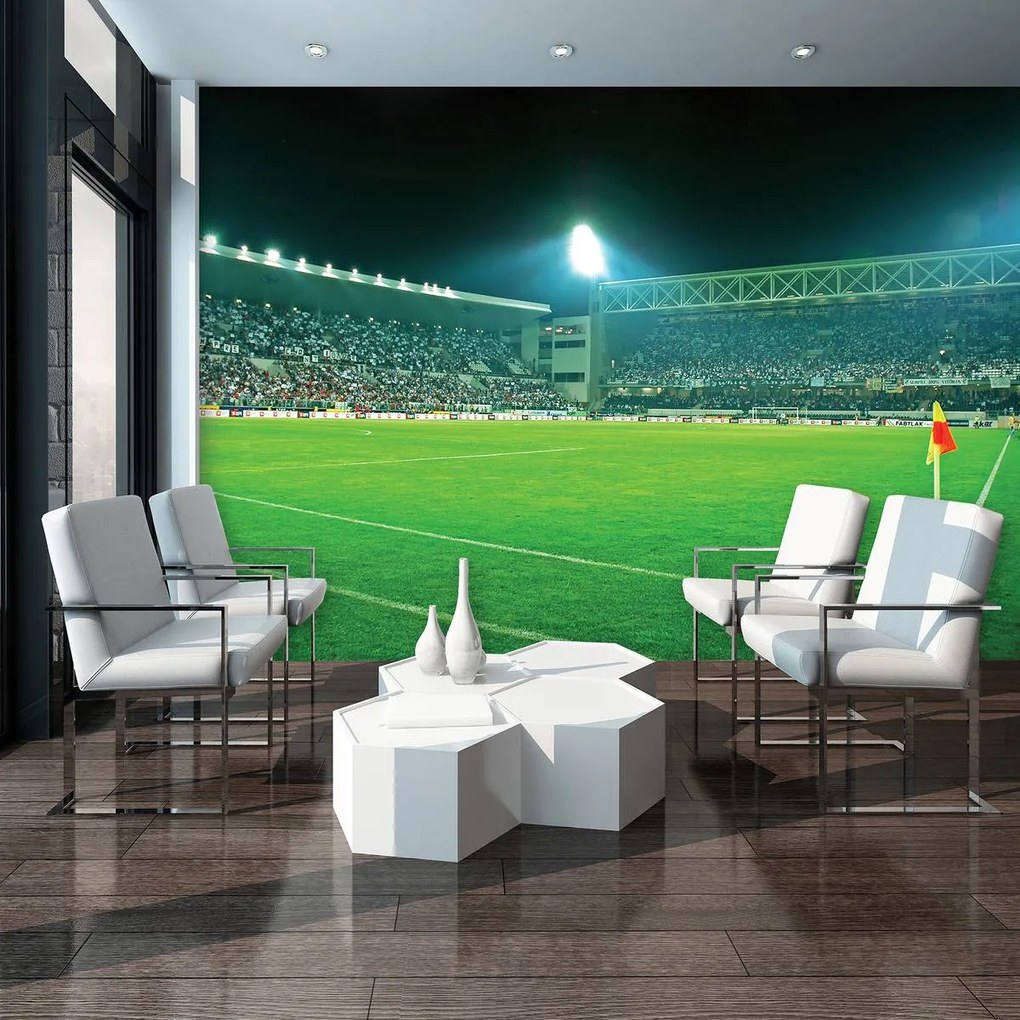 Fototapeta - Futbalové ihrisko (152,5x104 cm)