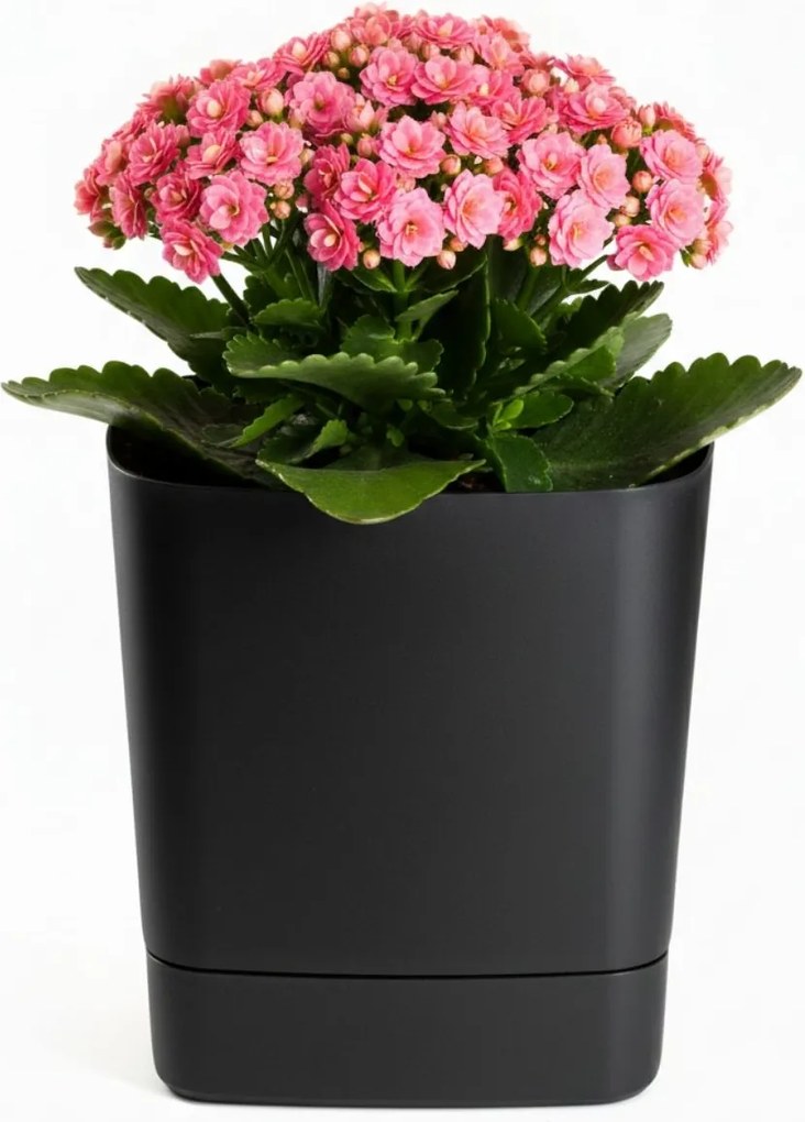 PLASTOVÝ KVETINÁČ CUBI 19X21 CM ČIERNA