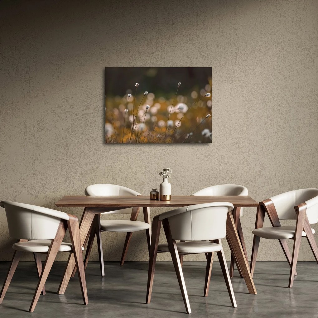 Obraz - Lúka s cottongrass N⁰2 (70x50 cm)