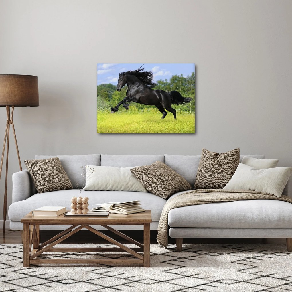Obraz - Kôň s vzdušnou hrivou (70x50 cm)
