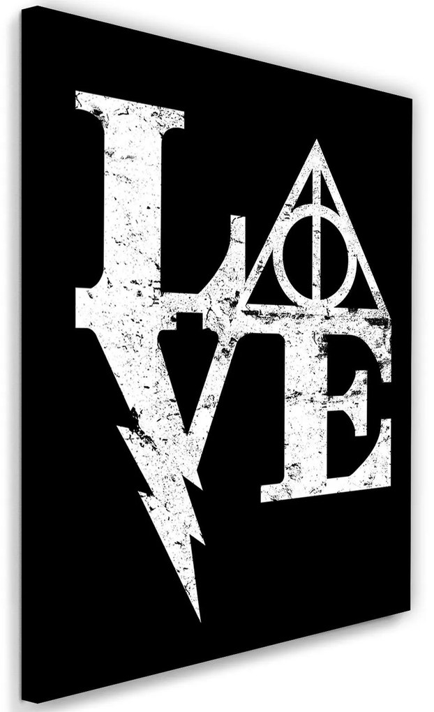 Gario Obraz na plátne Harry Potter, láska - Dr.Monekers Rozmery: 40 x 60 cm