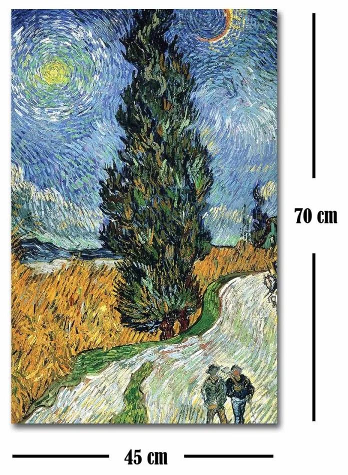 Reprodukcia obrazu Vincent van Gogh 101 45 x 70 cm