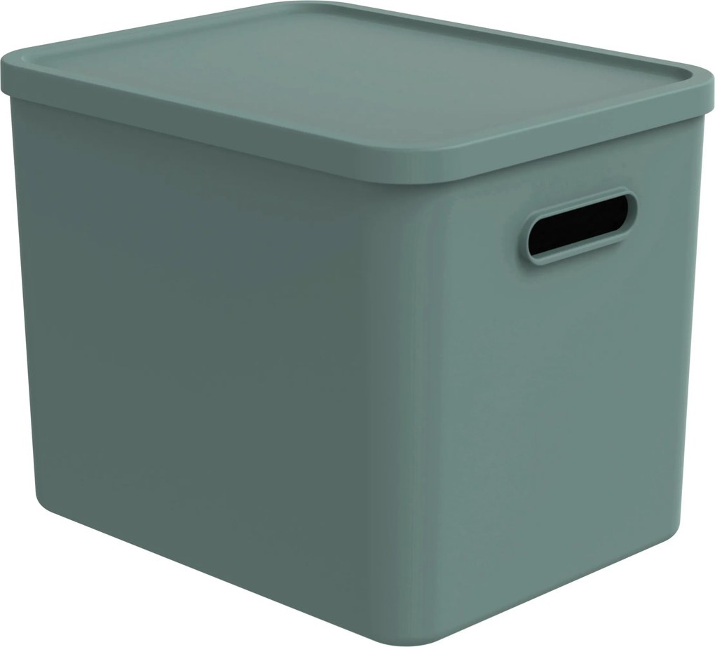 XXXLutz ÚLOŽNÝ BOX plast Rotho - Online Only bytové doplnky - 003294010204