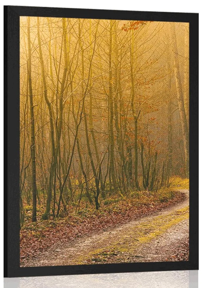 Plagát cestička do lesa - 30x45 white