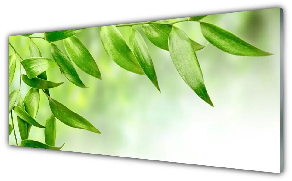 Obraz plexi Zelené listy príroda 125x50 cm