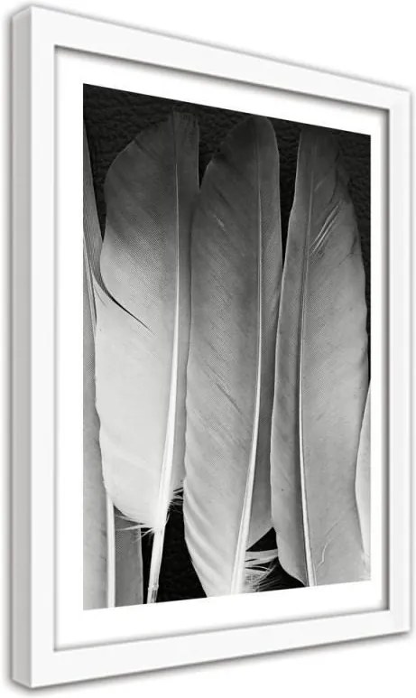 CARO Obraz v ráme - Feathers In Black And White Biela 30x40 cm