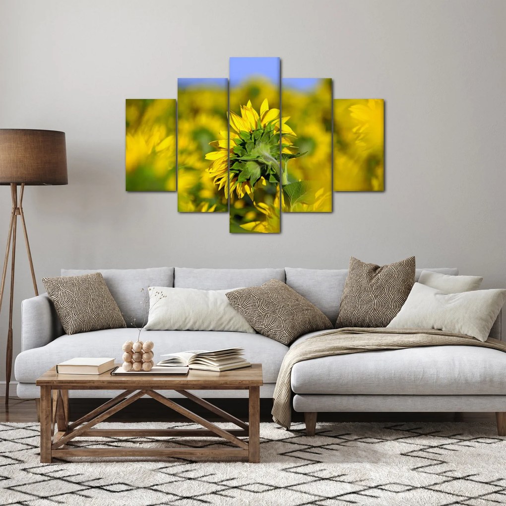 Obraz slnečnice (150x105 cm)
