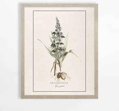 Obraz s orchideou BOTANIC 40x50 cm