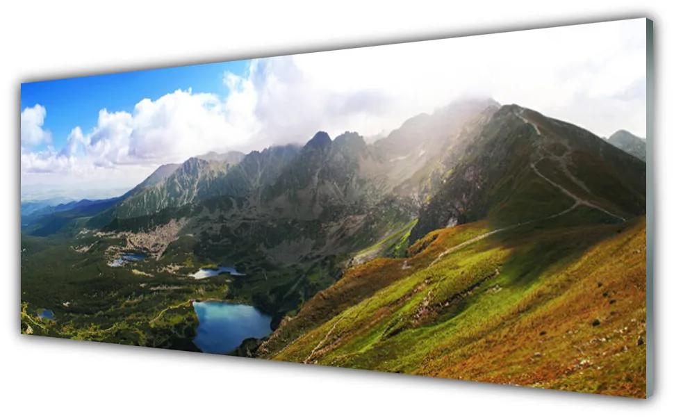 Obraz plexi Hory lúka príroda 125x50 cm