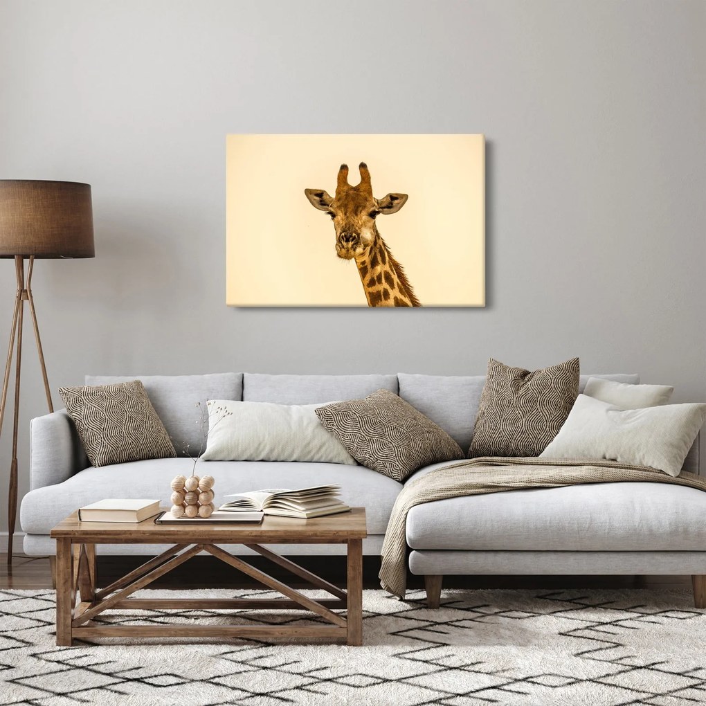 Obraz žirafy (90x60 cm)