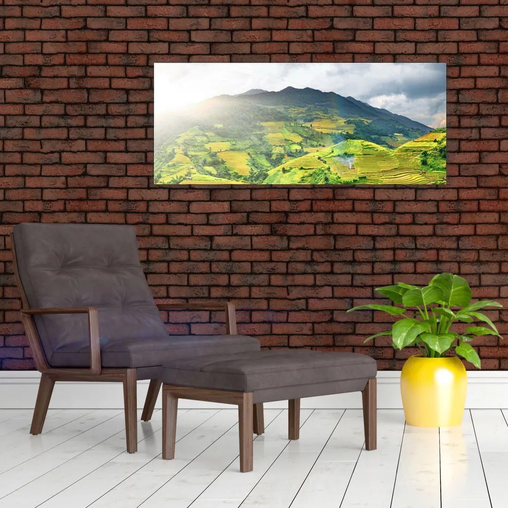 Obraz plantáže (120x50 cm)