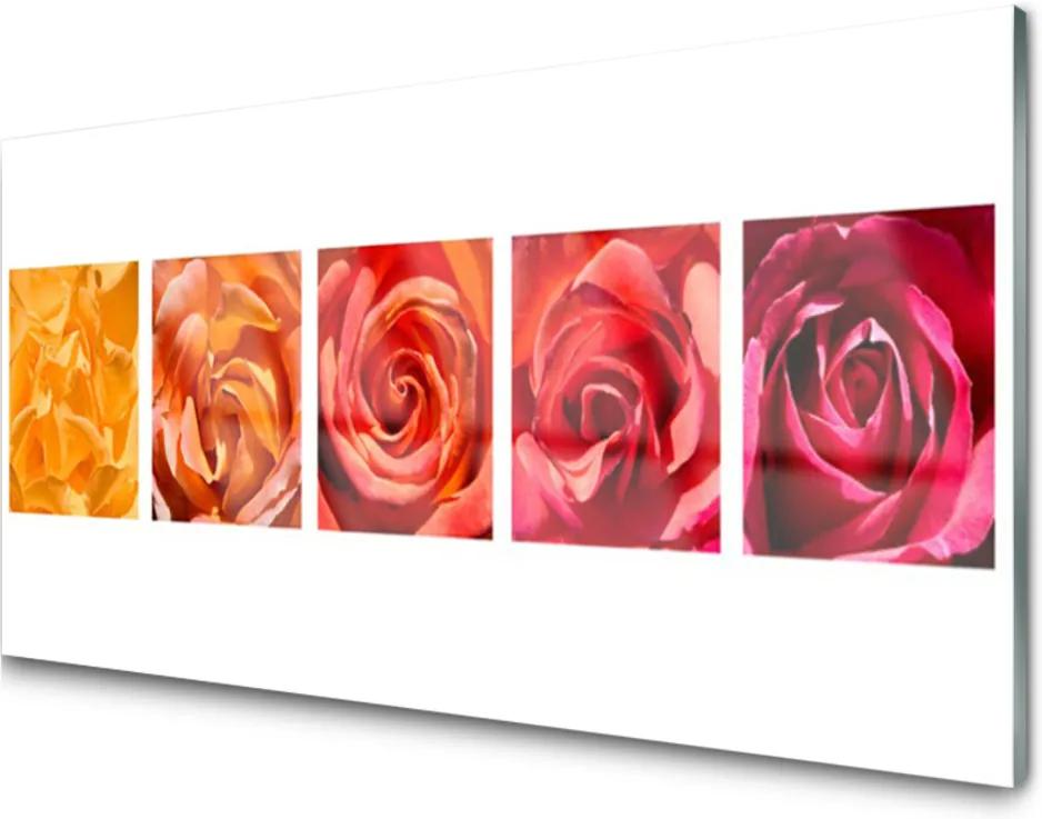 Skleněný obraz Růže Květiny Rostlina