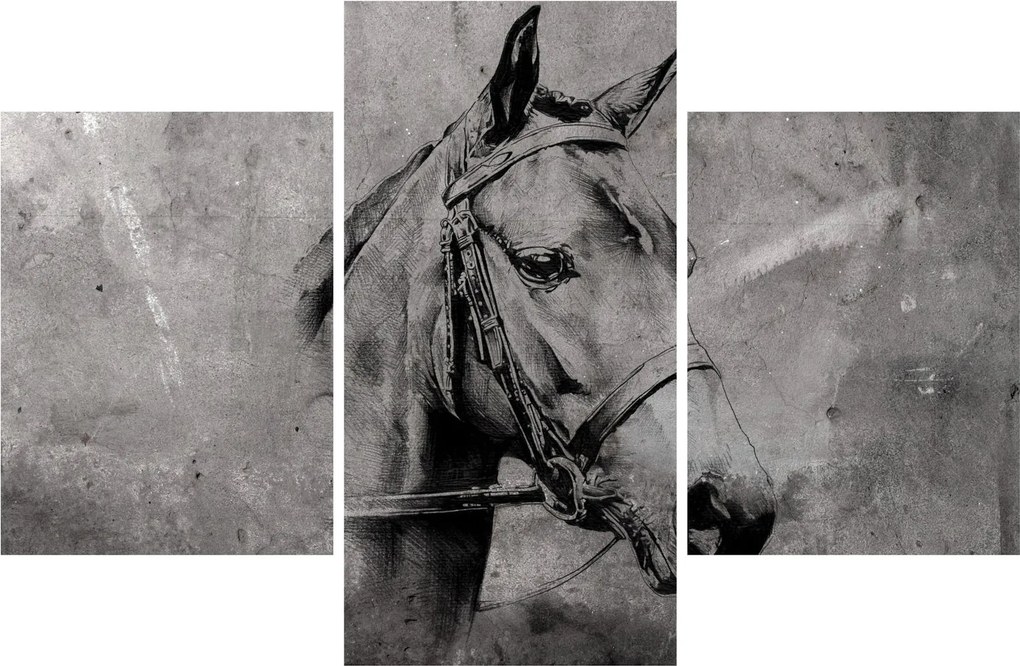 Obraz - Portrét koňa (90x60 cm)