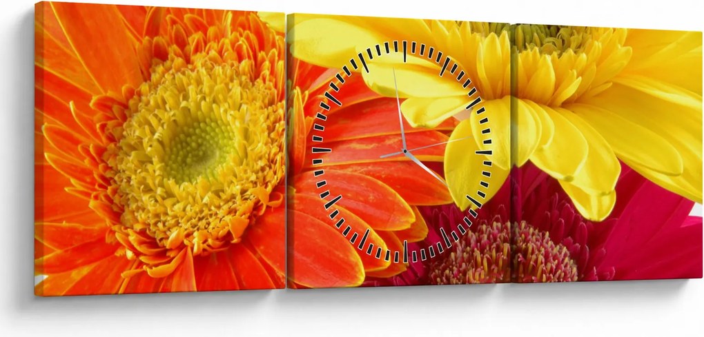Obraz - Kvety Gerbery (s hodinami) (90x30 cm)