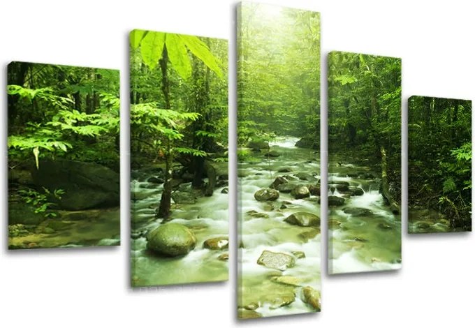 Obraz na stenu STROMY