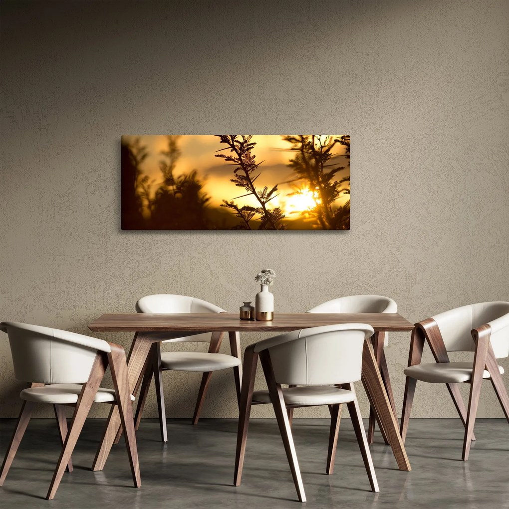 Obraz - Slnko zapadajúce za stromami (120x50 cm)