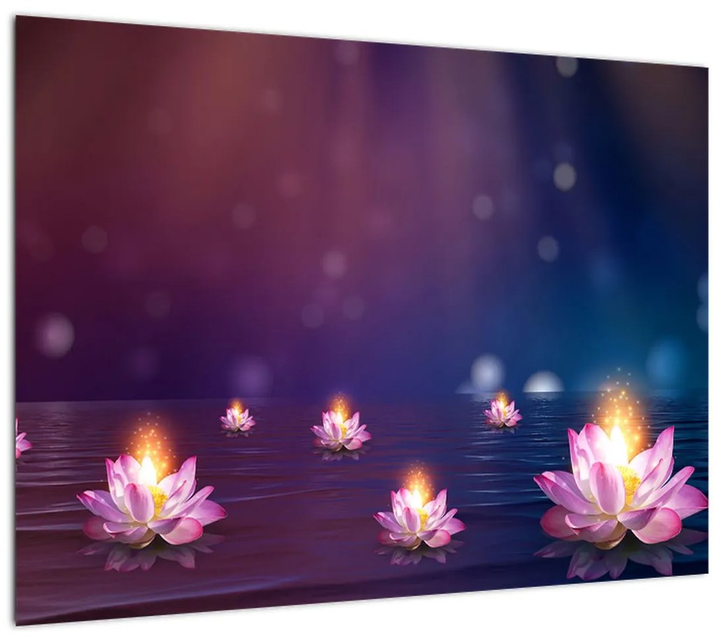 Sklenený obraz - Čarovné lekná (70x50 cm)