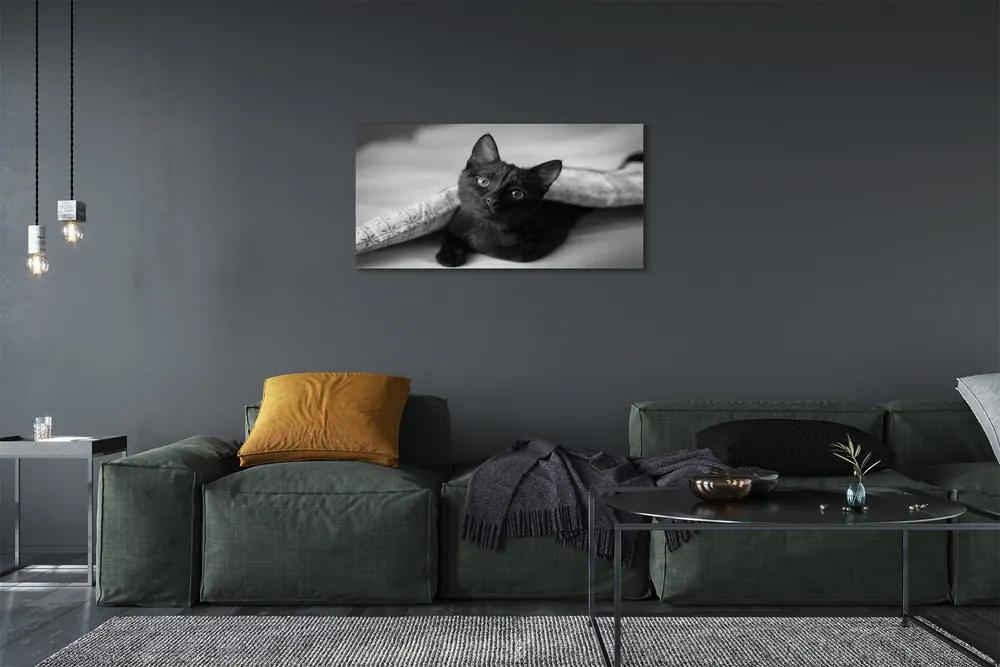 Obraz na plátne Mačka pod prikrývkou 120x60 cm