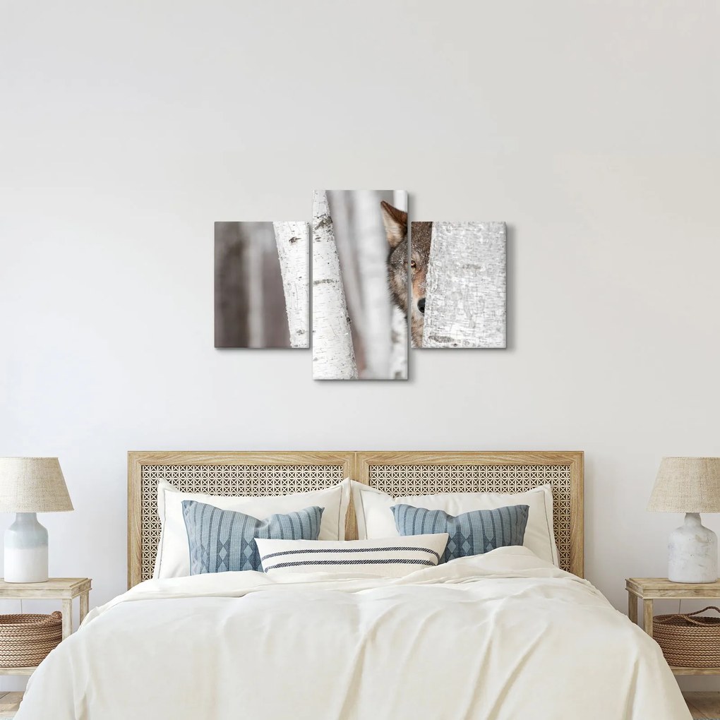 Obraz - Vlk (90x60 cm)