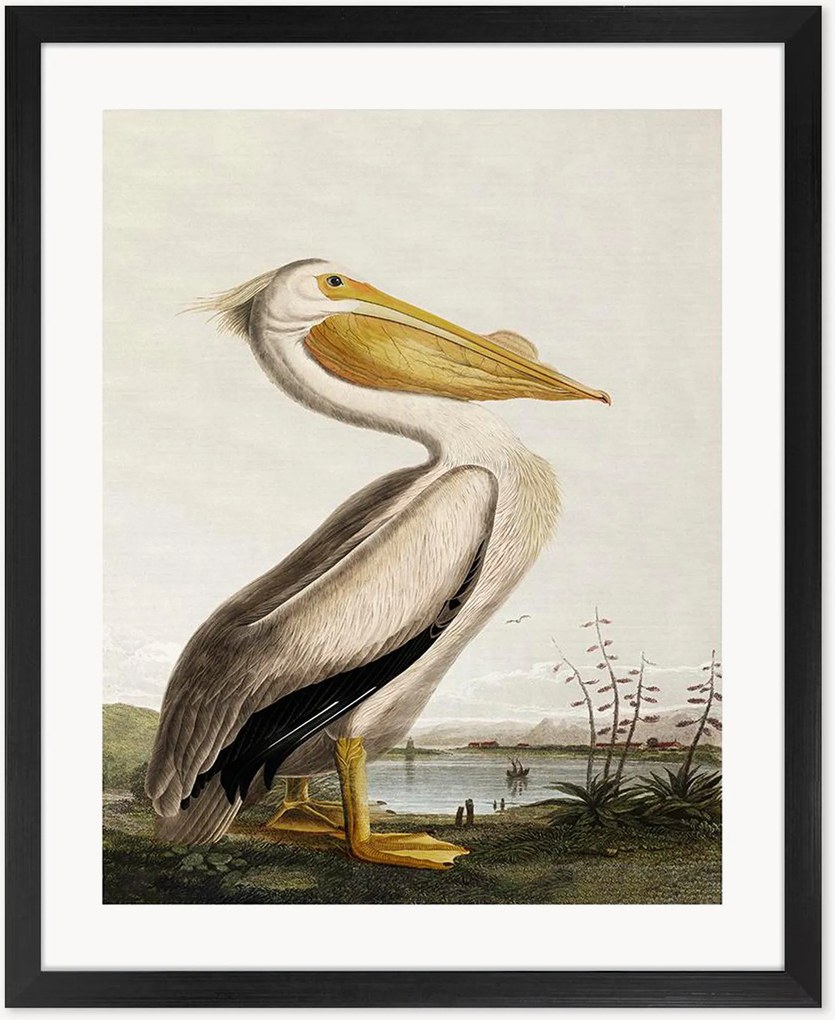 Nástenná dekorácia v ráme Pelican