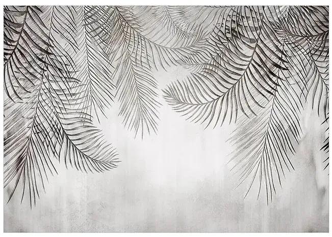 Samolepiaca fototapeta - Night Palm Trees Veľkosť: 245x175, Verzia: Samolepiaca