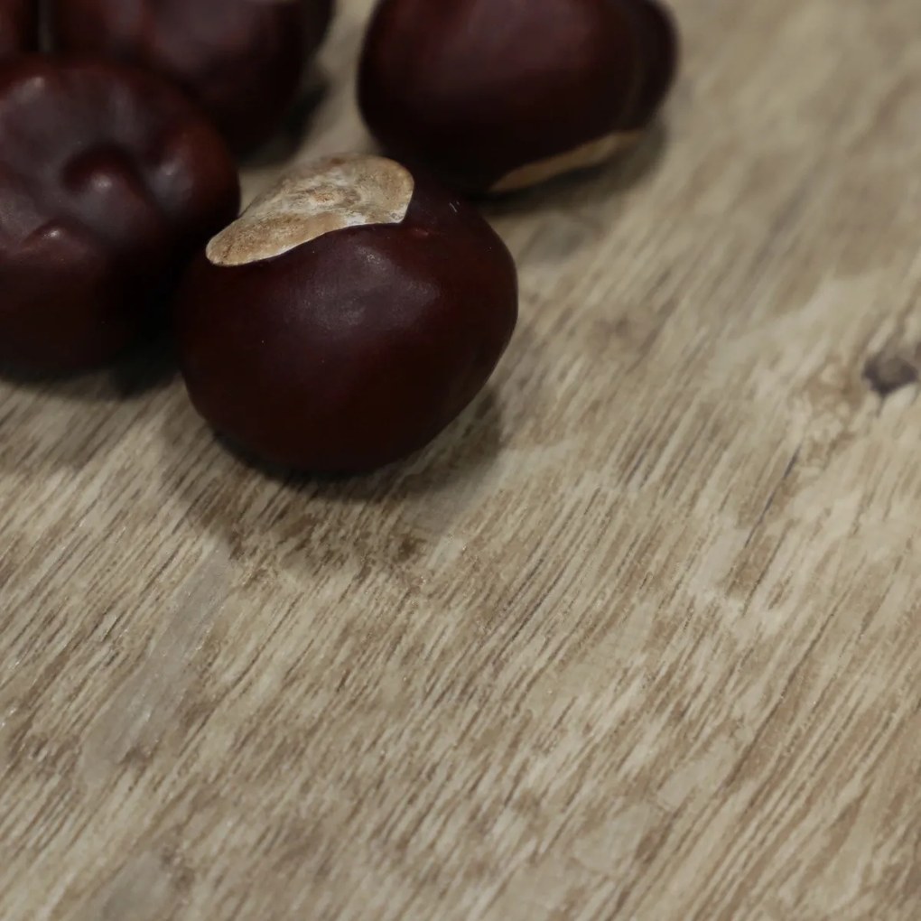 Beauflor, PVC podlaha - lino Texalino Supreme 691 M Valley Oak - dub, na mieru, šíře 2m,3m,4m,5m, hnedá, filc, chodba / predsieň