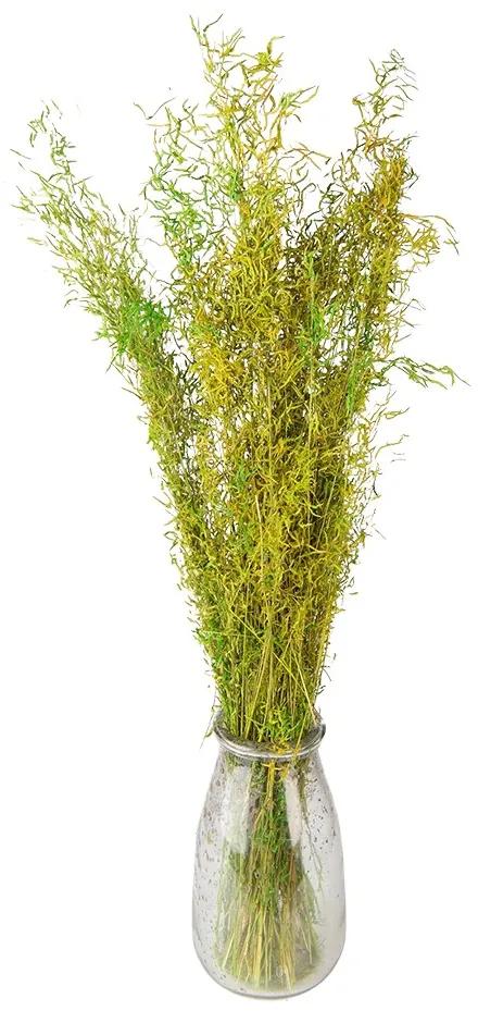 Dekorácia zelená sušená kvetina - 90 cm (50 gr)