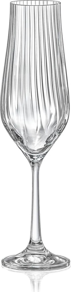 Crystalex poháre na sekt TULIPA OPTIC 170 ml 6 ks