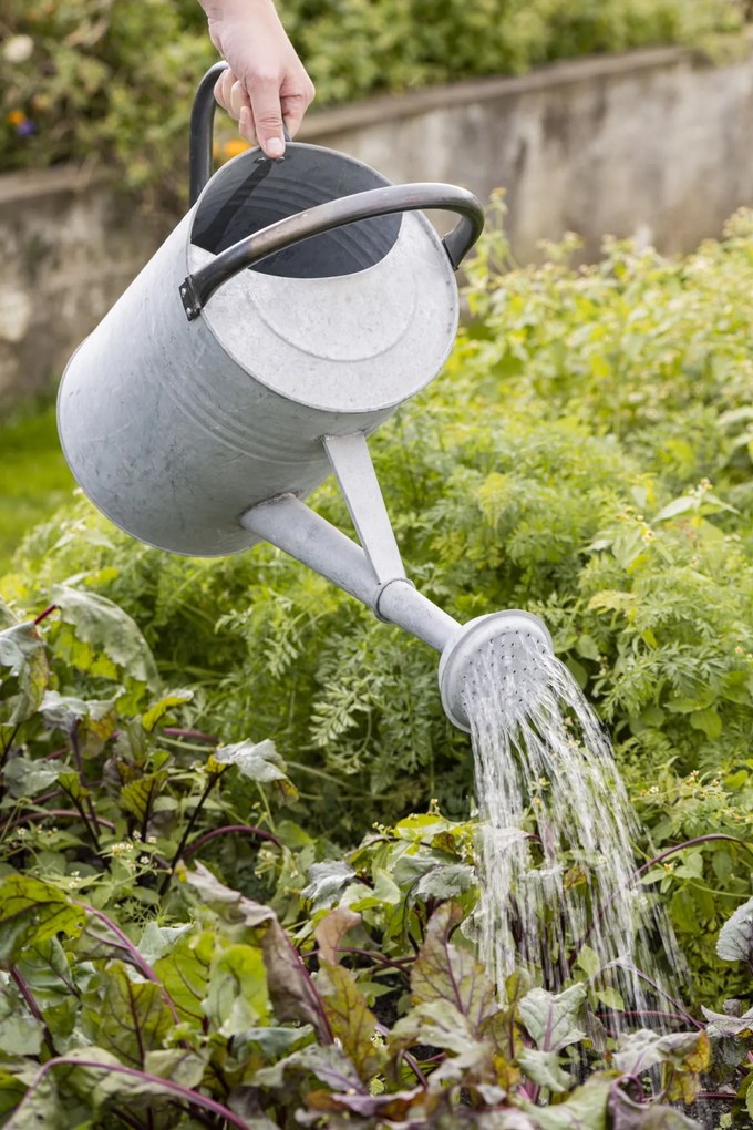 Ib Laursen Záhradná konev Black Handles 11 l