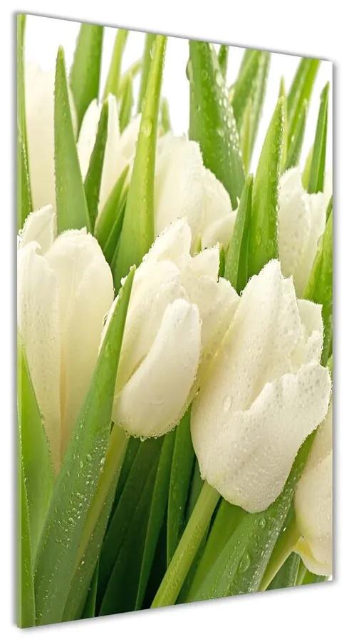 Foto obraz akryl do obývačky Biele tulipány pl-oa-70x140-f-49549577
